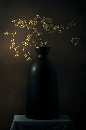 Stilleven met droogbloemen