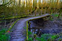 Brugje in het natuurgebied Klein Profijt