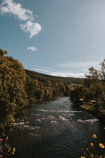 Uitzicht op de watervallen van Coo, Ardennen Wallonië, België van Manon Visser