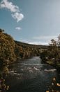 Uitzicht op de watervallen van Coo, Ardennen Wallonië, België van Manon Visser thumbnail