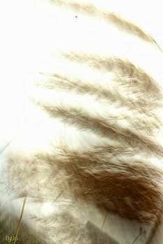 Serie "by the river"