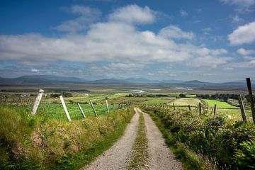 Green landscape in Ireland's mountains