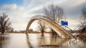 Nijmegen Hochwasser #15 von Lex Schulte