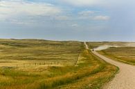 Prairie langs Highway 1 Canada van Lynxs Photography thumbnail