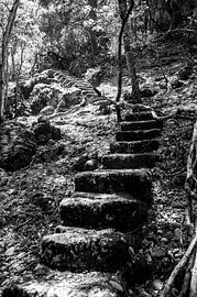 Ancient staircase by Photography by Karim