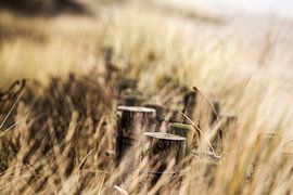 Se concentrer sur l'essentiel