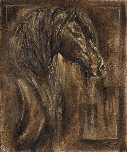 Der Geist eines Pferdes von Paula Collewijn