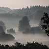 Boomtoppen boven de mist van Karlo Bolder