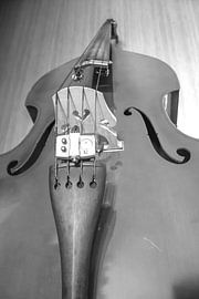Contrabas - Double bass by Arlette Peeters