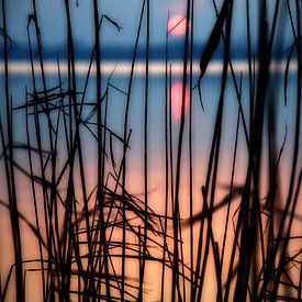 Coucher de soleil sur Agostino Lo Coco