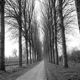 Zwart wit landschap Holland van Jurgen den Uijl