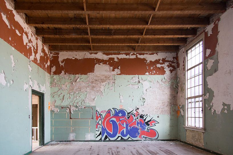 Provinciaal Ziekenhuis | Bloemendaal | Urban Photography par heidi borgart