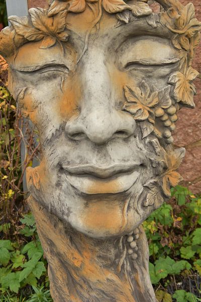 Faces by Monique Verlouw