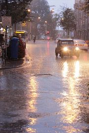 amsterdam by sarp demirel