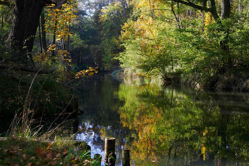 Spreewald von Thomas Jäger