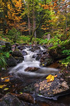 L'automne dans les montagnes du Harz