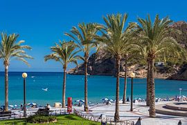 Boulevard in Playa d 'Albir von Jellie van Althuis