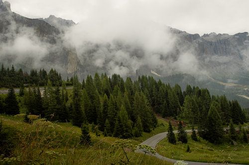 Brume sur la forêt de montagne