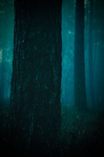 Verstecken und Suchen