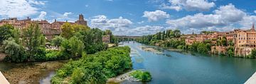 Albi (Tarn) panorama van Jeroen Mikkers