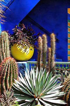 Cactus tegen blauwe achtergrond van Dorothy Berry-Lound