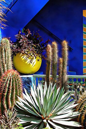 Kaktus vor blauem Hintergrund