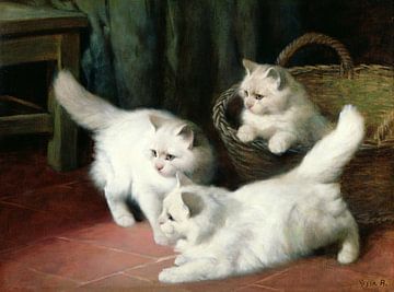 Arthur Heyer,Drie witte Angora kittens