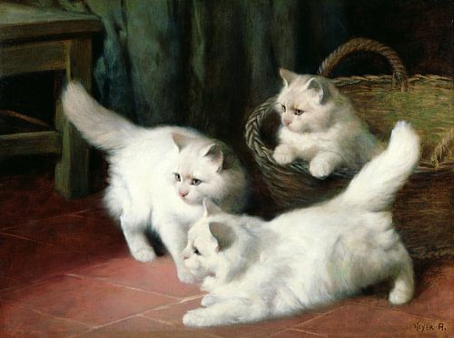 Arthur Heyer,Drie witte Angora kittens