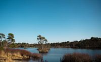 Natur