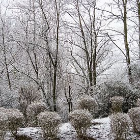 winter wonderland van Dennis Klaassen
