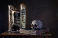 Still life biology