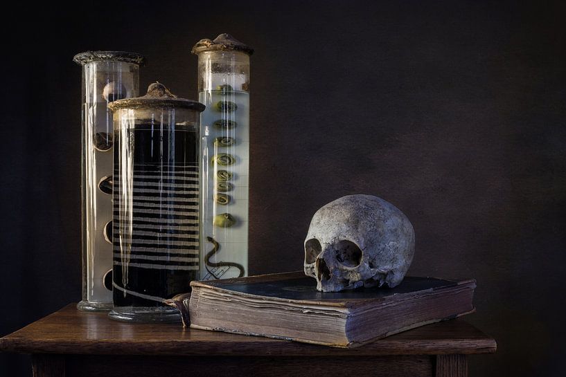 Still life biology by Emajeur Fotografie