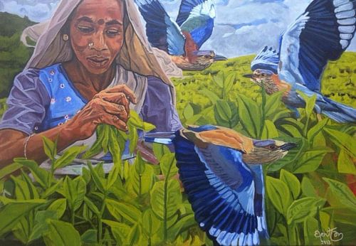 Theeplukster Sri Lanka