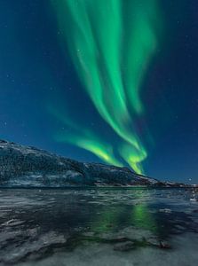 Aurora Nordpolarlicht am Nachthimmel über Nordnorwegen