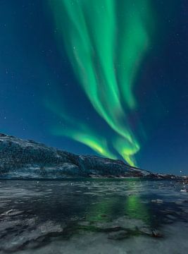 Poollicht Aurora in nachtelijke hemel over Noord-Noorwegen van Sjoerd van der Wal Fotografie