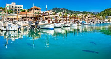 Port de Soller with fishing boats at pier by Alex Winter