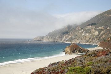 Californisch strand van Suzana Luttermann