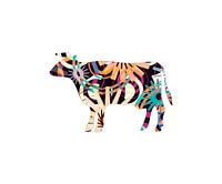 COW-P3-D