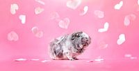 Meerschweinchen-Herzen von Marloes van Antwerpen Miniaturansicht