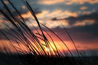 Sunset Serenity : Helmet Grass Silhouette
