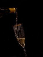 Proosten,  fles wijn met glas