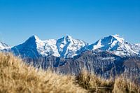 Warm and cold colors in autumn in the Swiss Alps