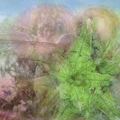 Nieuw Leven van een Engel 