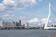 Erasmusbrug Rotterdam van Anouk IJpelaar thumbnail