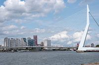 Erasmus Bridge Rotterdam