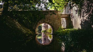 Portail sur Nocturnally Light