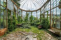Verlassener Gartenraum in Belgien von Kristof Ven Miniaturansicht