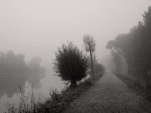 Silent Place
