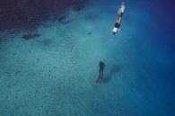Rencontre de plongeurs en apnée dans le Grand Bleu par Eric van Riet Paap Aperçu