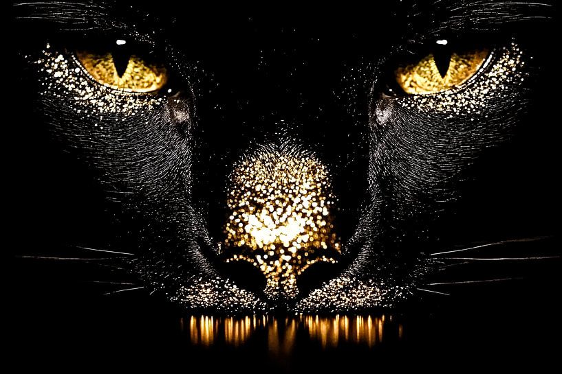 Black cat with gold details by Imperial Art House